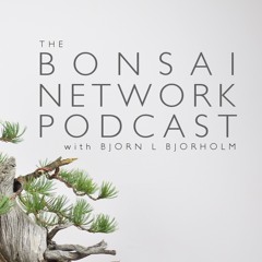 Bonsai Network Podcast