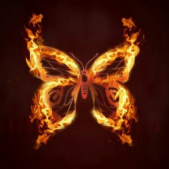 ToastiestMoth