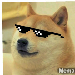 Dog menes