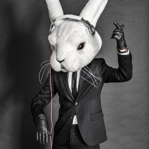 Rabbit Chaser Recordings’s avatar