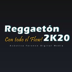 Reggaetón 2020 - Con todo el Flow!