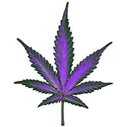 Marijuana Mixtapes’s avatar