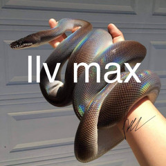 llv max