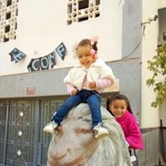 Mina Nabil