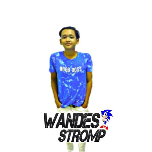Wandes STROMP’s avatar