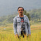 Wahiddian toro