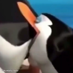 Np
