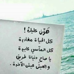 mona farag morgan
