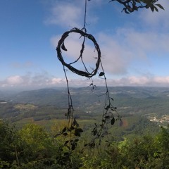 Luccas Raota