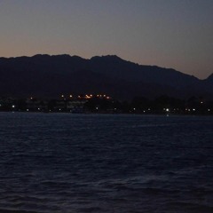 passant elbanna