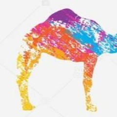 Camel NoX
