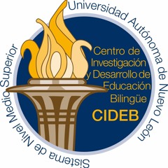 CIDEB-312