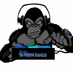 The Primitive SoundLab