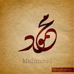 محمود الموجي الموجي