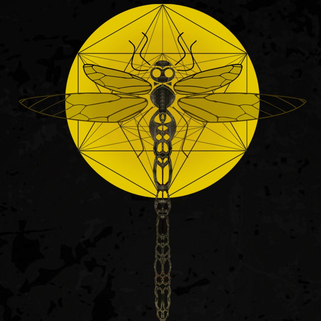 洋楽 DragonflyRecords OrderOdonataExperiments 0041210359_2.jpg