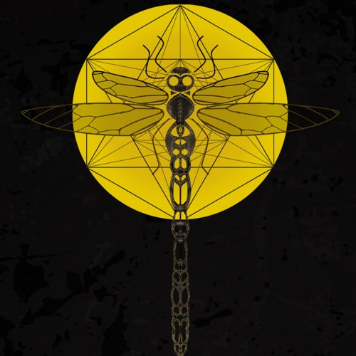 Dragonfly Records’s avatar