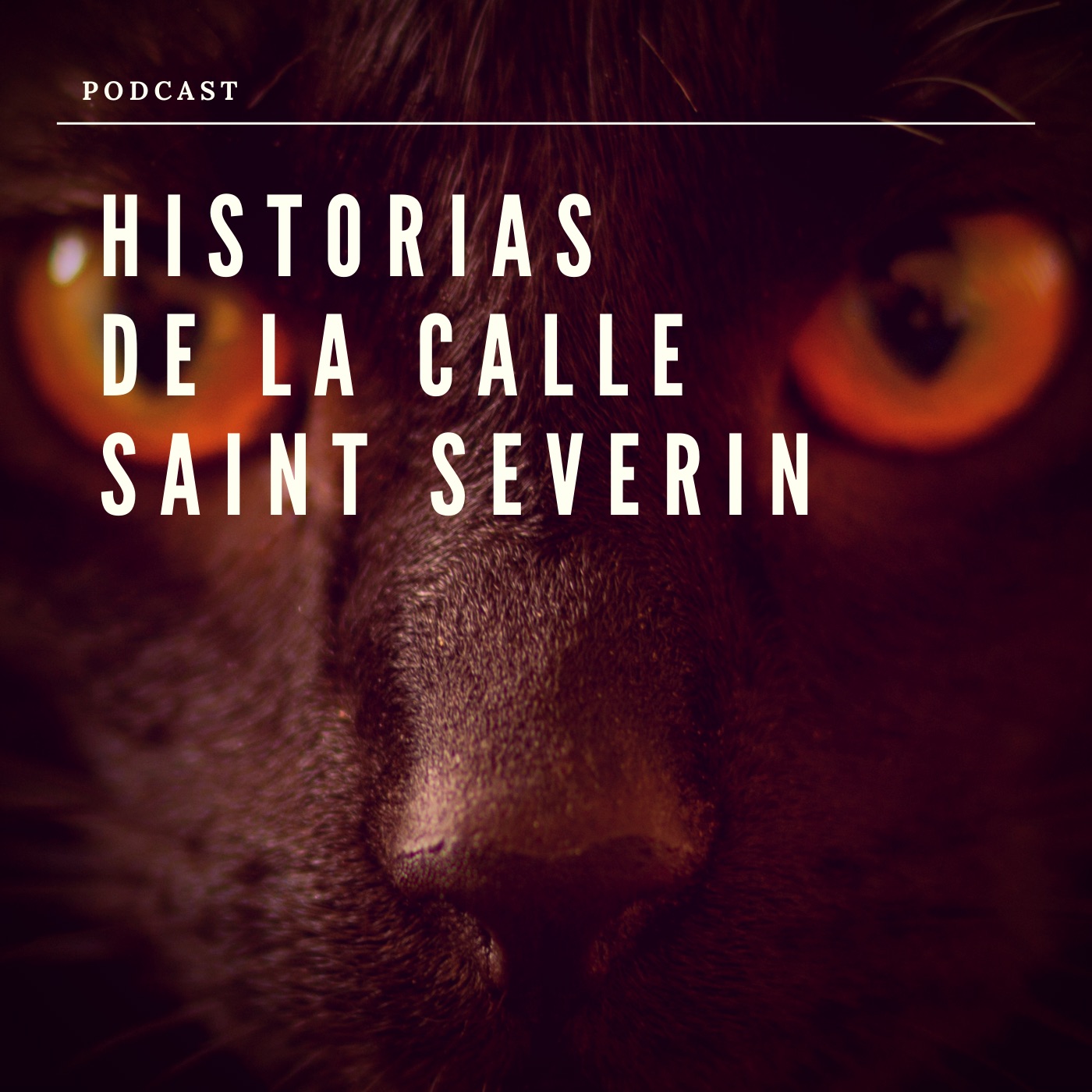 Historias de la Calle Saint Severin