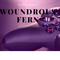 Wondrous Fern