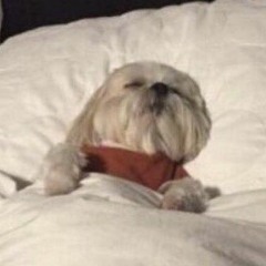 Charmaine (badSongsOnly)