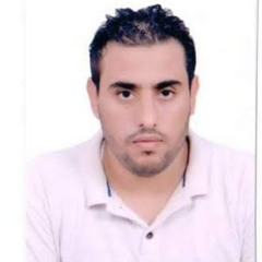 mohamed abdelreheem