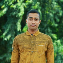 Mehedi Royhan