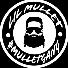 LIL MULLET