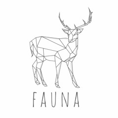 Fauna