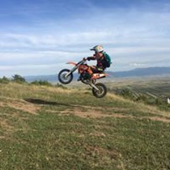 Zsolt Vizi
