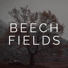 Beech Fields