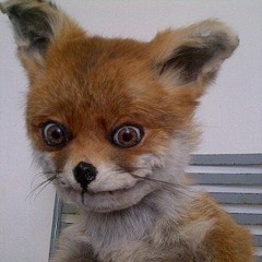 FatFox