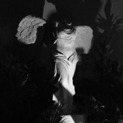 darch.angel