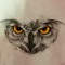 Stanley Owl