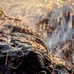 Bokeh