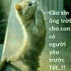 Ký Ức Nhạt Nhòa