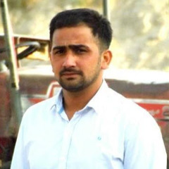 Amir Bhutta