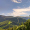 Kolya