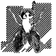 zvuv music