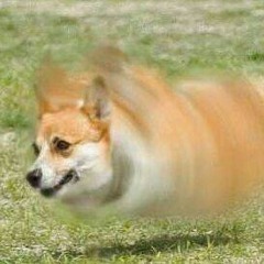 てらもとたいせい