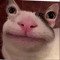 JoeJohboy