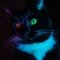 CATVATIO