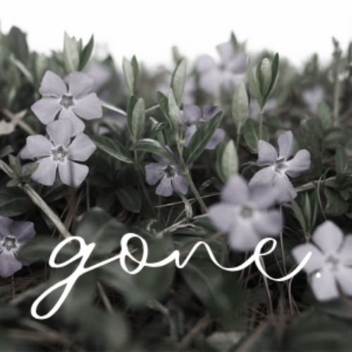Stream Episode 37 Missing: Tabitha Tuders and Shannah Boiteau by gone ...