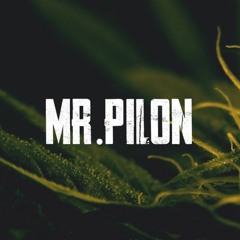 Mr.Pilon