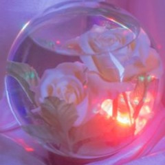 𝓶𝔂𝓽𝓱𝓲𝓬𝓪𝓵 𝓭𝓻𝓮𝓪𝓶𝓼