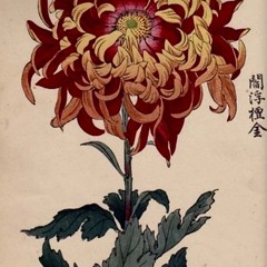 Samsara Rio