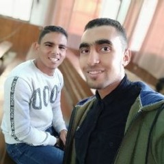 Haitham Elsayed
