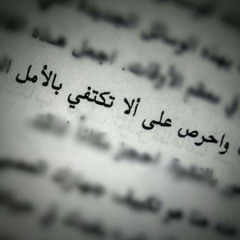 Noha Elhamaida