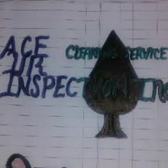 Ace-ur-inspection Inc
