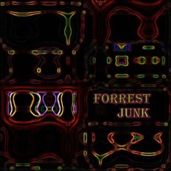 Forrest Junk