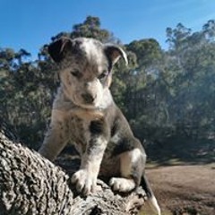 fav Tech house tunes