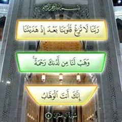Nashwa Nabil